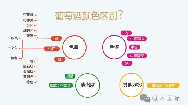 如何觀葡萄酒顏色？.jpg